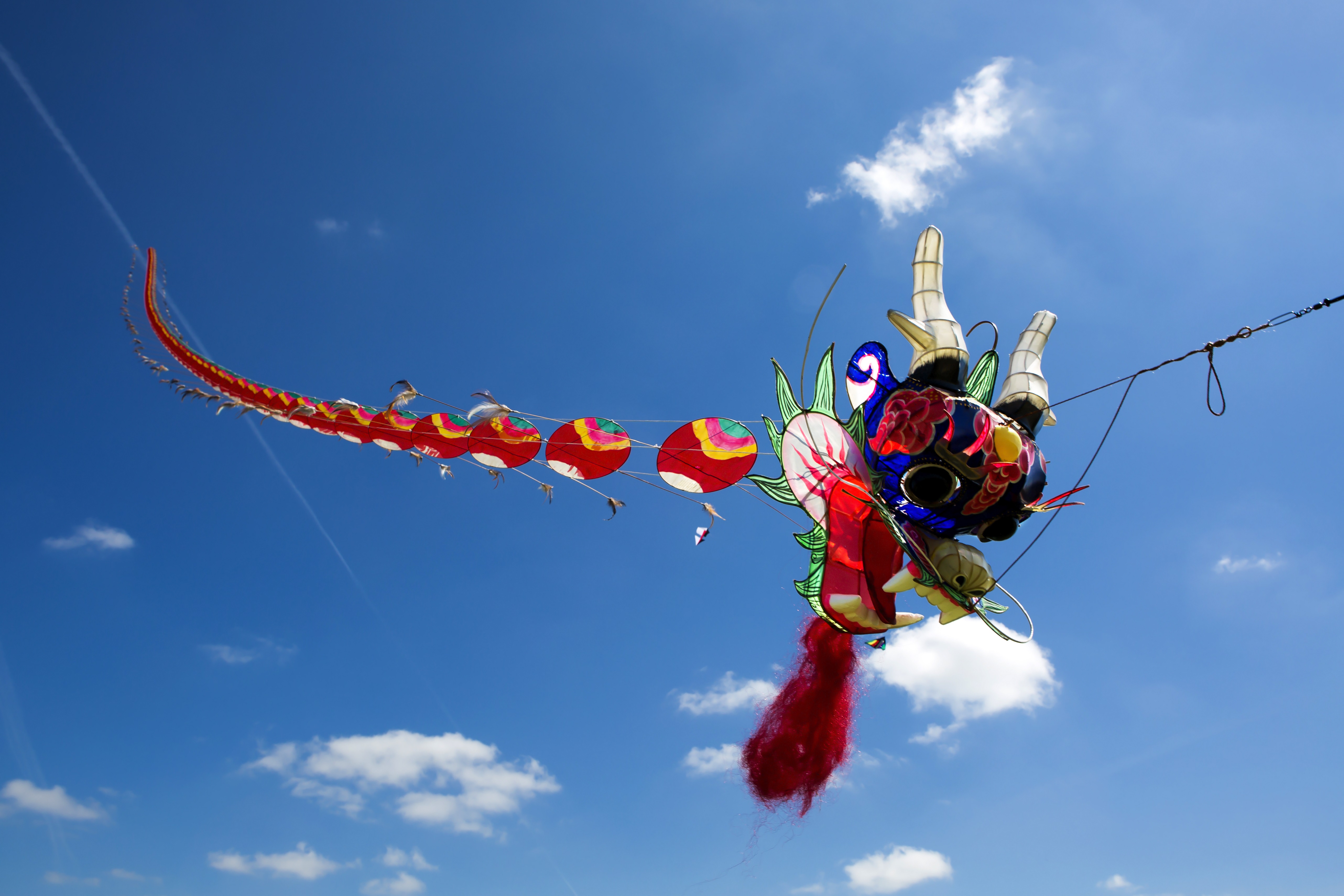 Chinesischer Drache