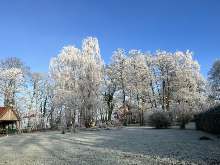 Garten Eden im Schnee