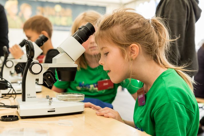 Forschen in Tossens