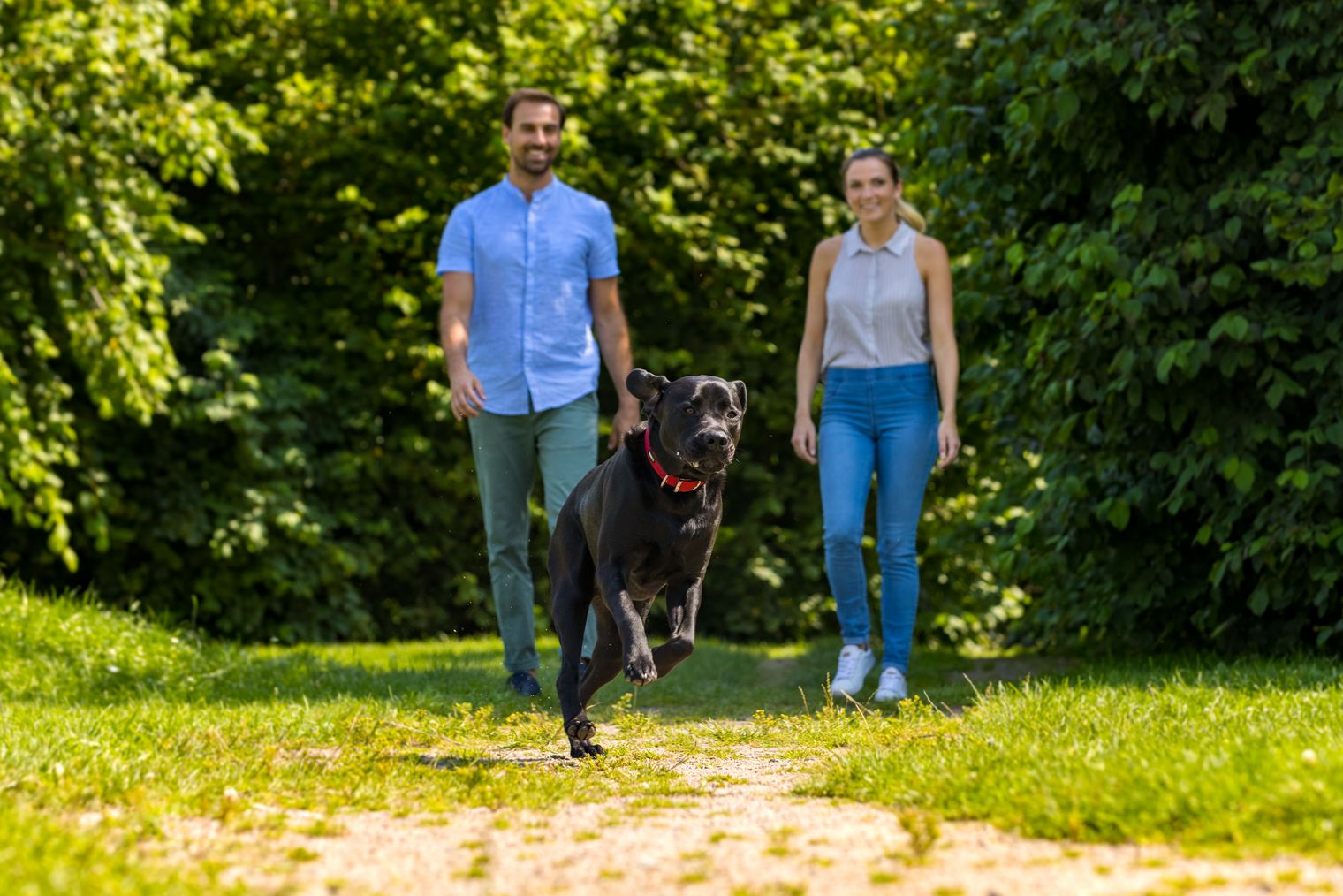 Freilauf im Scheunenpark