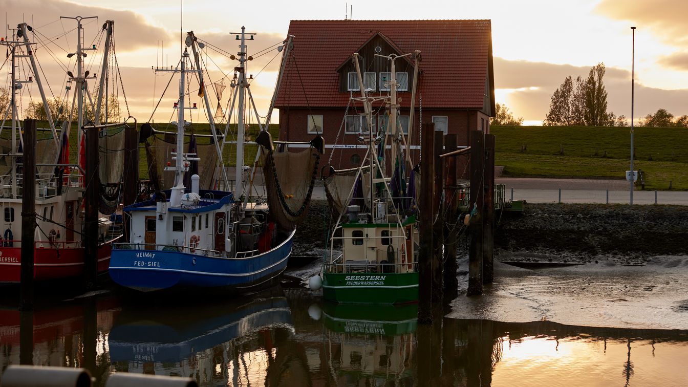 Kutter im Hafen