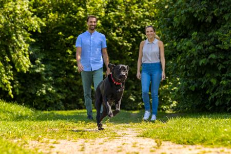 Freilauf im Scheunenpark