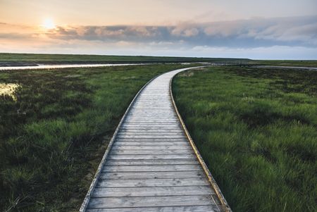 Langwarder Groden im Grünen