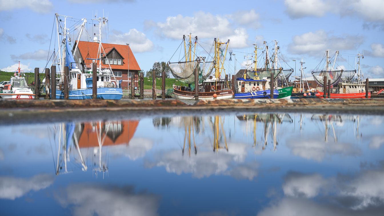 Hafen Fedderwardersiel