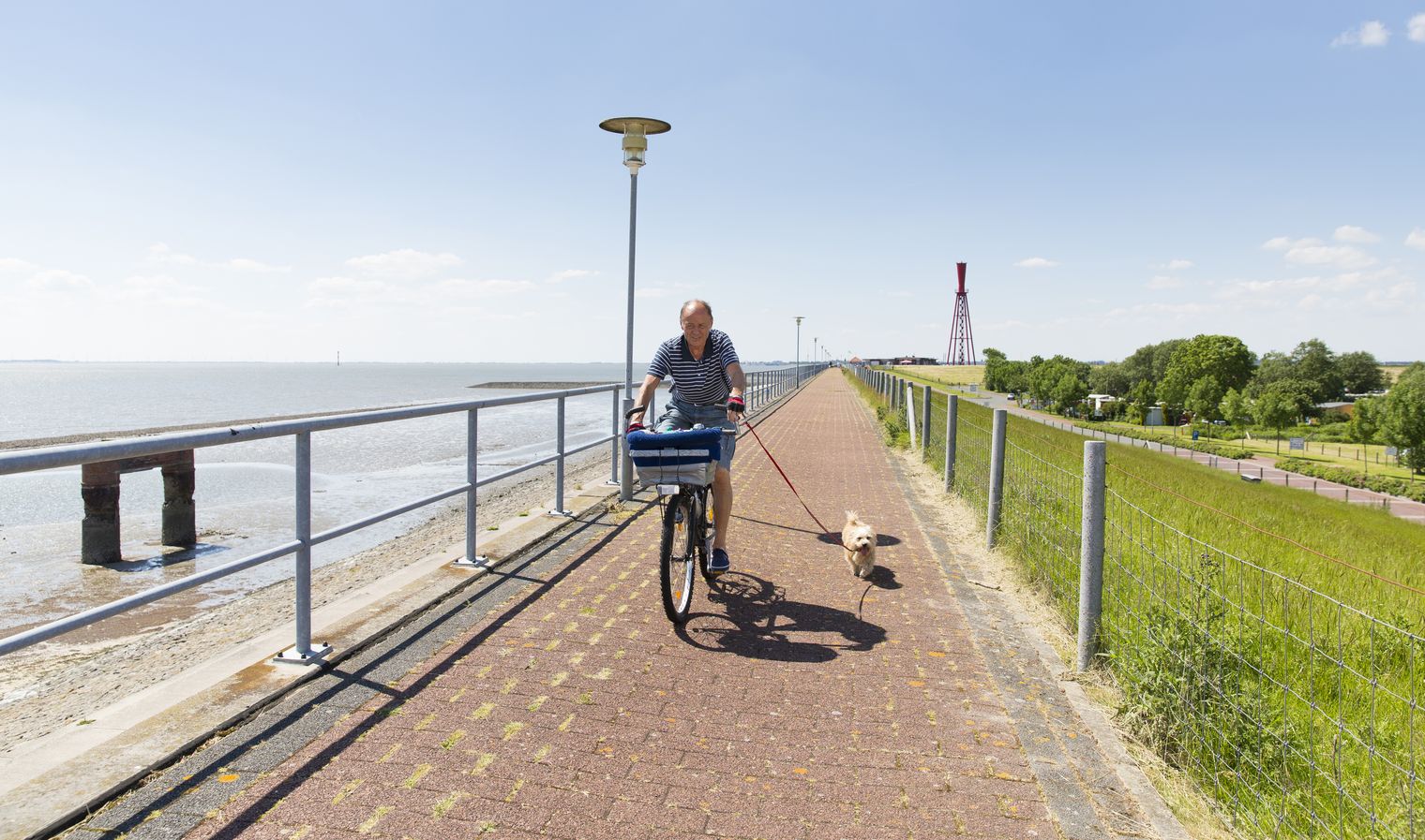 Radfahren mit Hund