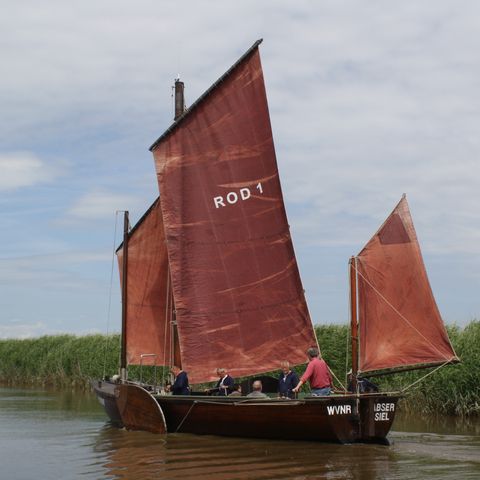 Dielenschiff Hanni