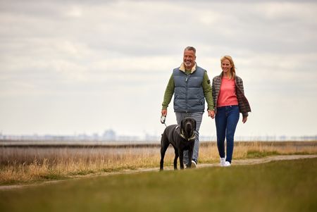 Spaziergang mit Hund am Strand